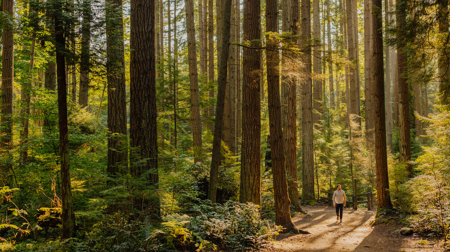 Honouring the Land, Exploring Opportunities
